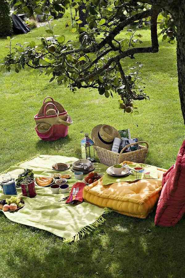 Simple picnic setting on grass with light food and open outdoor space